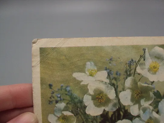 Открытка С праздником 8 марта цветы фото и худ. оформление И. Дергилев ред. Рязанцев 1968 год №17831 З аукціону