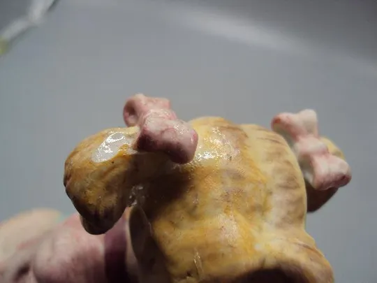 Фигура фарфор Румыния влюбленные парень и девушка Счастливая парочка ROCERAM Alba iulia 24 см №14190 Продаж