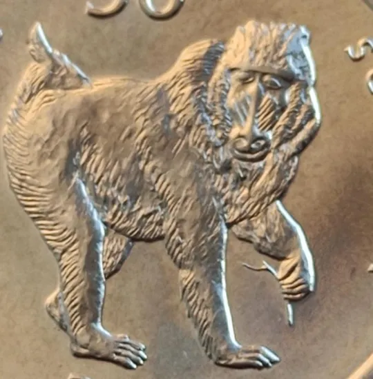 Гамадрил Монета 50 шиллингов Сомали 2002 Год Обезьяны  БЛЕСТИТ nf836 Продаж