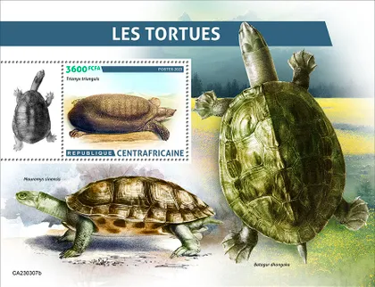 фото, ЦАР- Черепахи-2023.Чистый полный красивый комплект.MNH.