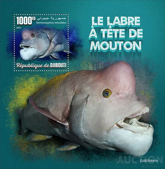 Джибути-Рыбы-2023. Чистый полный красивый комплект. MNH. Ціна