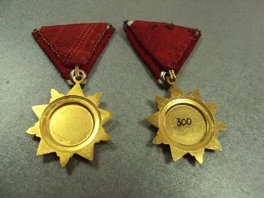 Медаль 25 лет освобождения от фашизма Венгрия лот 2 шт №10401 Продаж