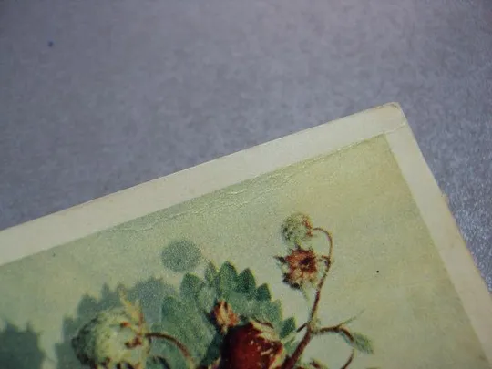 открытка клубника бушкина 1958 №12485 Продаж