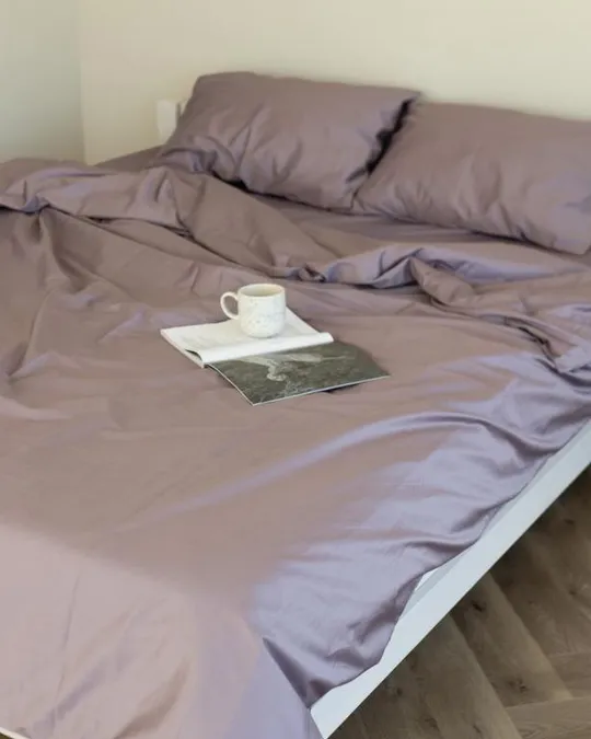 Постельное белье двуспальное Dushka Home Сатин Люкс 20901 180х215 см бледно-лавандовое Інтернет-аукціон