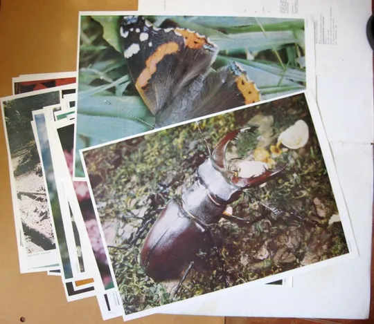 ДОШКІЛЬНИКАМ ПРО ПРИРОДУ - ДОШКОЛЬНИКАМ О ПРИРОДЕ = БАБОЧКИ - ЖУКИ = 1990 г. = ПЛАКАТЫ - 23 листов З аукціону