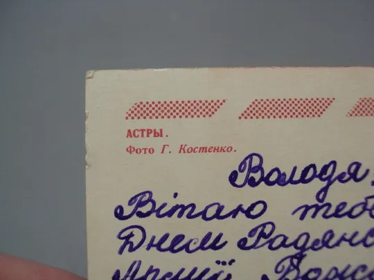 Открытка цветы астры фото Г. Костенко 1971 год №18066 Де купити