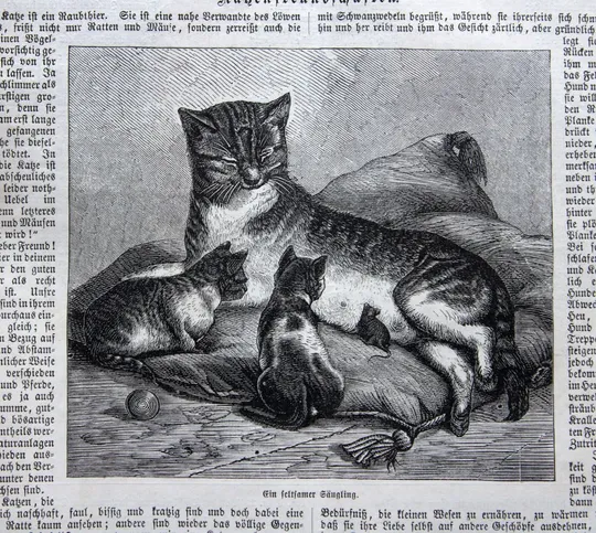 Журнал Daheim №34 травень 1866 року Німеччина Fv8.6 Де купити