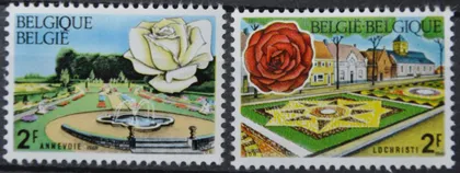 фото, Бельгия Флора Цветы Розы 1969