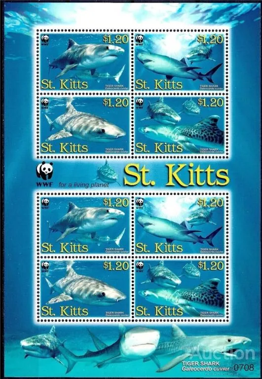 St.Kitts-Акулы - WWF-2007 Чистый полный красивый комплект. MNH. Де купити