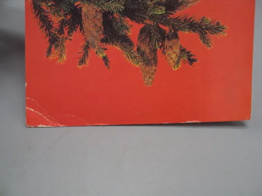 Открытка С новым годом! елка шишки художник И. Дергилев 1982 год №16211 З аукціону
