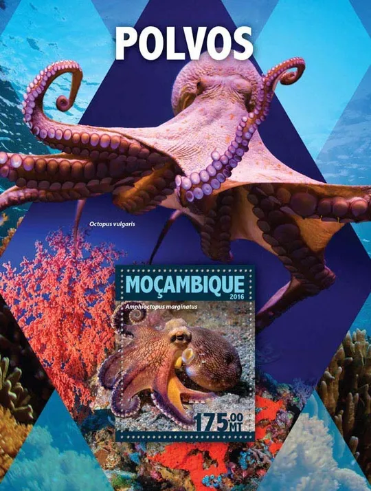 Мозамбик-Осьминог-2016. Чистый полный красивый комплект.MNH. Ціна