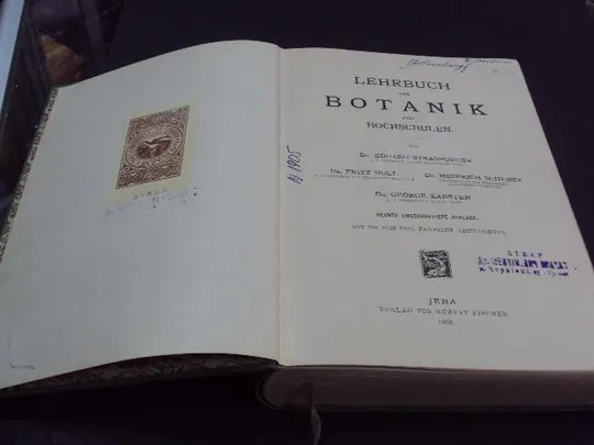 Купити книга Eduard Strasburger учебник по ботанике, lehrbuch der botanik 1908 №68