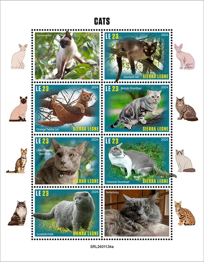 фото, Сьерра Леоне - Кошки-2024.Чистый полный красивый комплект.MNH