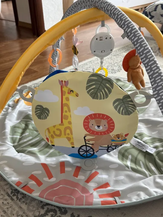 Купити Розвиваючий музичний килимок Taf Toys