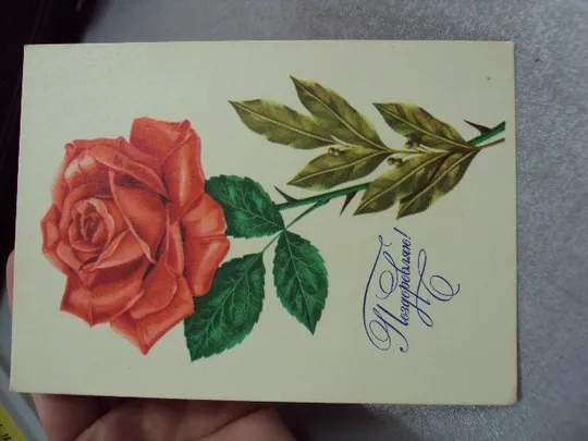 Купити открытка поздравляю 1977 лисецкий мистецтво лот 2 шт №10945