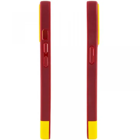 Чехол TPU+PC Bichromatic для Apple iPhone 13 Pro Max (6.7") З аукціону