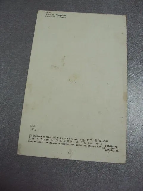 открытка ирис 1976 матанова №10961 Недорого