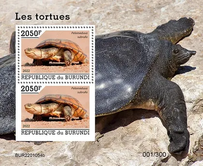 фото, Бурунди -Черепахи-2022.Чистый полный комплект.MNH.