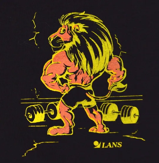 Купити Чоловічі труси шорти подовжені транки Lans Лев 06/012 шоколад