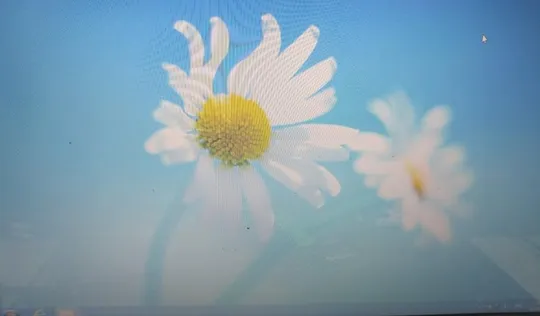 Матрица для ноутбука 17.3&quot; Samsung LTN173KT02 Led  (1600*900, 40pin) Ціна