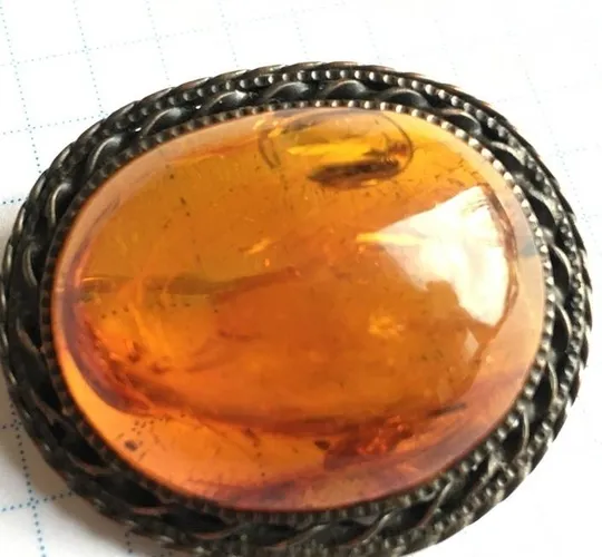 Винтажная брошь из янтаря, Латвия, 1950-1960-е годы. натур. балтийский янтарь jl472 Ціна