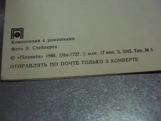 открытка композиция с ромашками 1986 стейнерта большая двойная №4268 Де купити