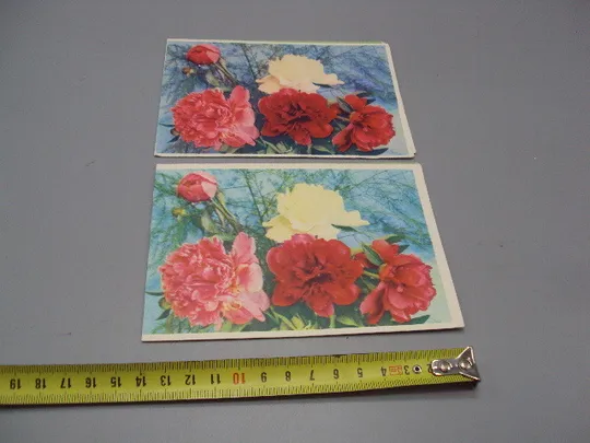 Открытка телеграмма гвоздики фото Г. Костенко художник А.В. Плетнев 1967 и 1972 год лот 2 шт №16160 Ціна