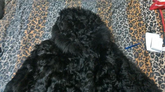 Шуба женская Інтернет-аукціон