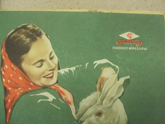 Купити книга альбом разводите кроликов 1961 салапина №13356м