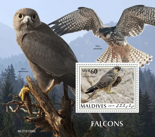 Мальдивы - Хищные Птицы -Соколы- 2019.Чистый полный красивый комплект. MNH. Ціна