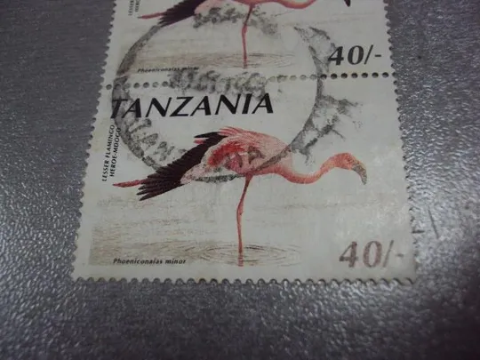 марки сцепка Танзания 1998 птицы фауна розовый фламинго гаш №1866 Де купити