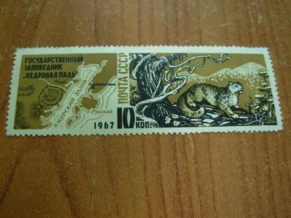 фото, 1967.ссср.