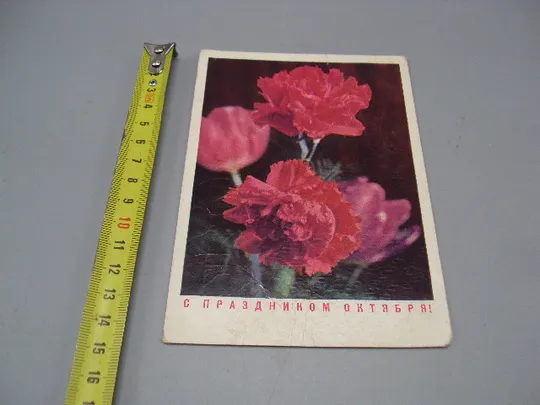 Открытка С праздником октября! цветы гвоздики фото Г. Костенко 1973 год №16082 Ціна