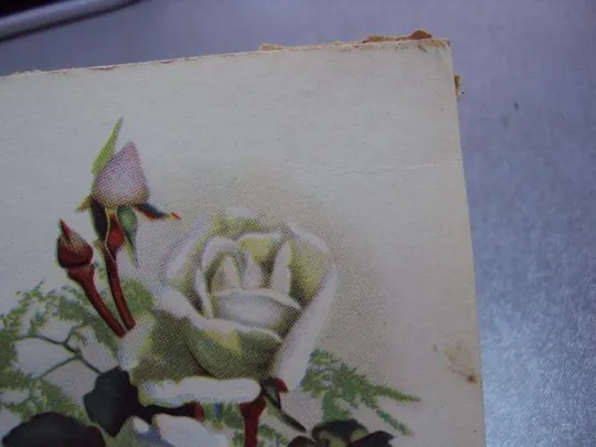 открытка лилии розы 1963 таллин склейка на листе 2 шт №12458 З аукціону