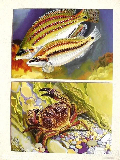 Комплект поштових карток " EUROPA. Підводна фауна і флора. Кам’яний краб та Зеленушка - рулена " Ціна