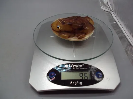 Фигура статуэтка лягушка на листке янтарь перламутр вес 96 г высота 3 см, диаметр 7,5 см №11826 Де купити