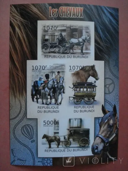 фото, Бурунді 2012 коні екіпажі**
