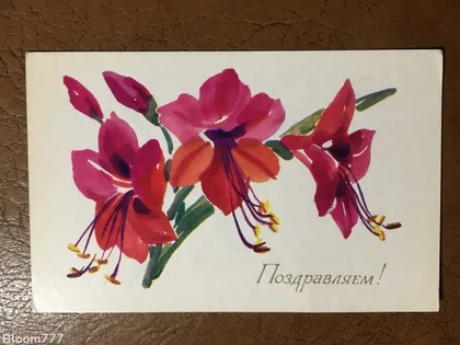 фото, Листівка чиста . Худ. Кирпичова 1979 р. з 1 грн.