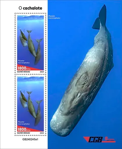 фото, Гвинея Бисау-Кашалоты-2024. Чистый полный комплект.MNH.