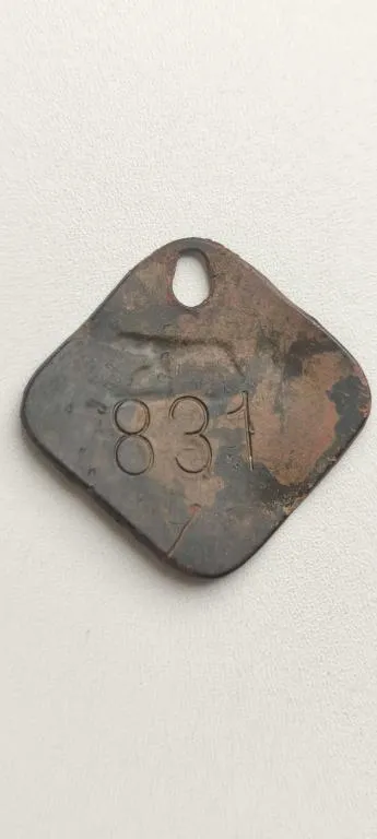 Редкий собачий жетон 1934 год костополь Степан  sk566 З аукціону