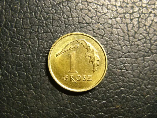 Купити 1 грош 2019 Польща