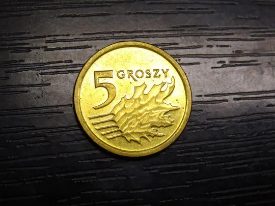 Купити 5 грошей 2014 Польща (новий тип)