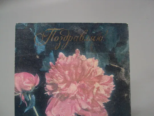 Купити Открытка Поздравляю! цветы пионы фото Л. Данилкина редоктор Печерский 1975 год №17994