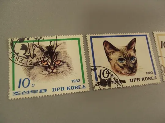 марки серия Северная Корея КНДР 1983 кошки коты котики лот 3 шт гаш №1570 З аукціону