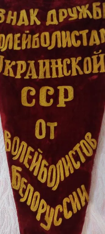 Вымпел 1954 года СССР бархат  pg841 Продаж