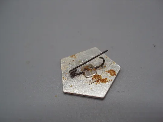 Купити Знак Ленин портрет профиль голова на красном фоне ссср знак качества №17666