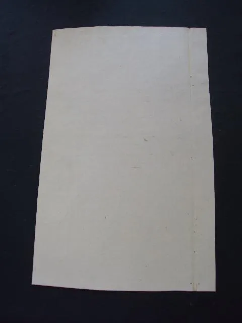 Вызов в Могилевский Земский Суд 1896 год Продаж