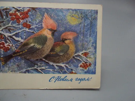Купити Открытка С Новым годом! птички и калина художник Л. Манилова 1975 год №16295