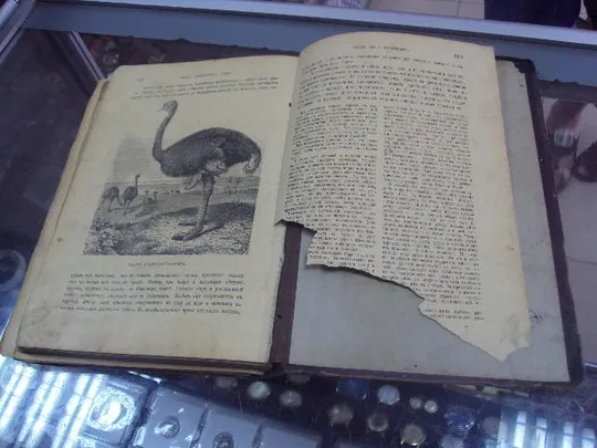 книга брэм жизнь животных т.2 птицы №19 Характеристики