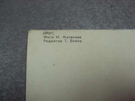 открытка ирис 1976 матанова №10961 Де купити